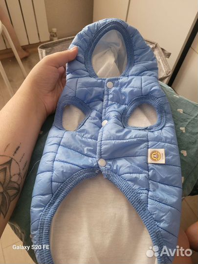 Вещи для маленьких собак