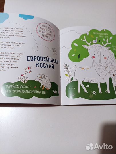 Книги Калининград Кенигсберг