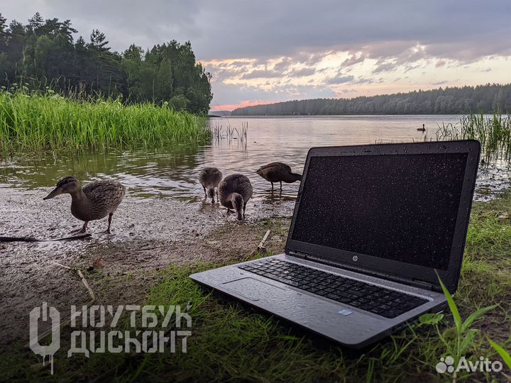 Ноутбуки HP Probook для работы в любых условиях