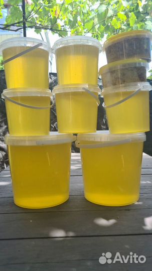Продаю мед