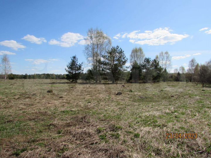 Участок 50 сот. (ИЖС)