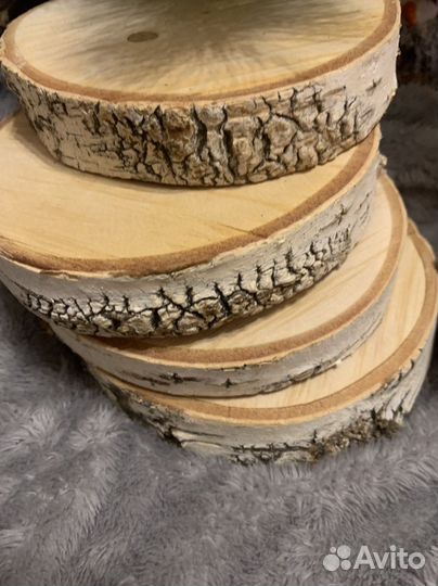 Спилы дерева (береза)