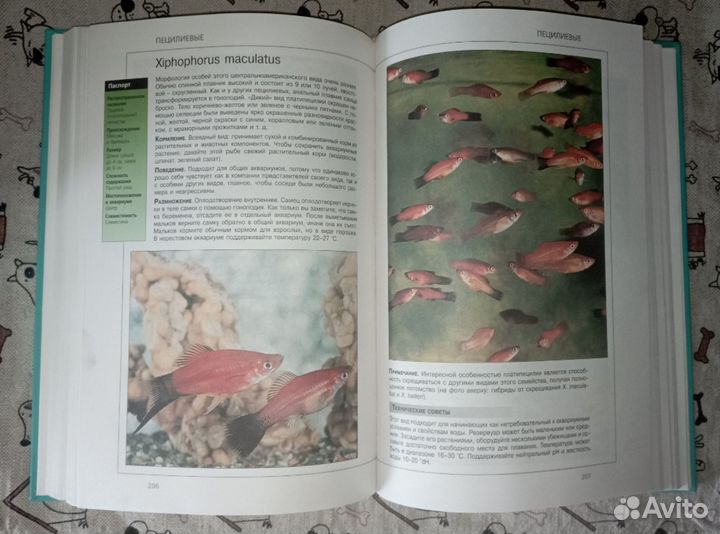 Книги про аквариум
