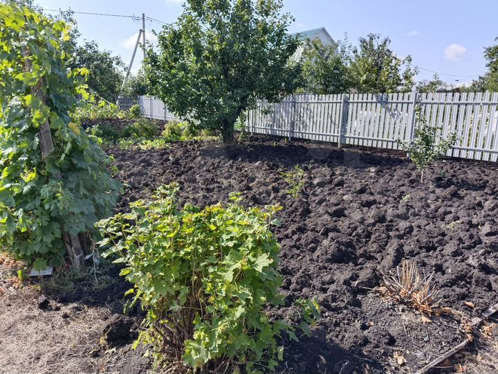 Дом 20 м² на участке 6 га