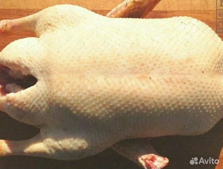 Мясо гуся