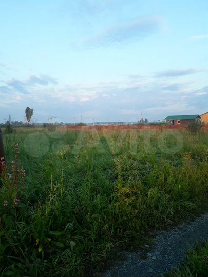 Участок 6,6 сот. (СНТ, ДНП)