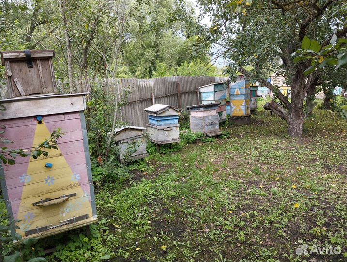 Улей с пчелами
