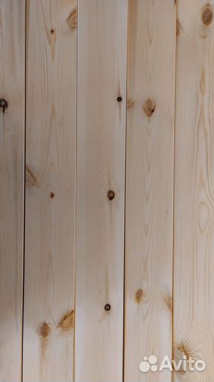 Планкен прямой, ангарская сосна, сорт практик