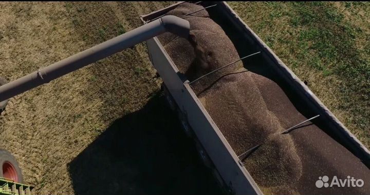 Зерновоз перевозка