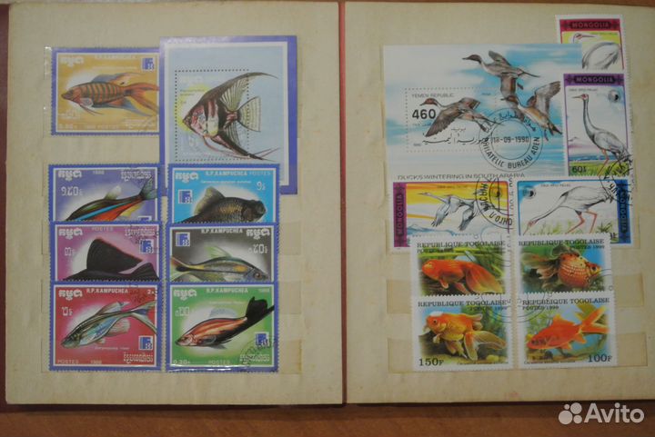 Марки на тему животных