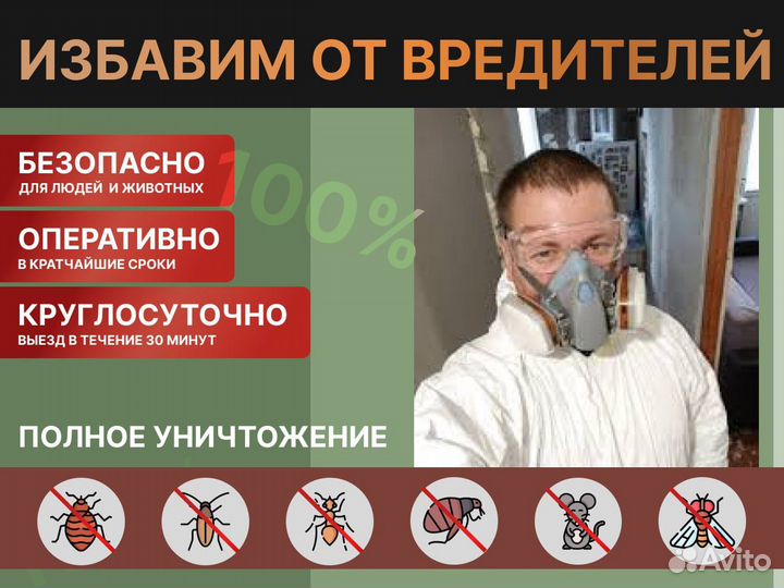 Уничтожение тараканов