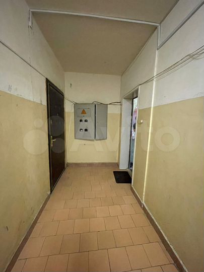 2-к. квартира, 48,8 м², 7/14 эт.