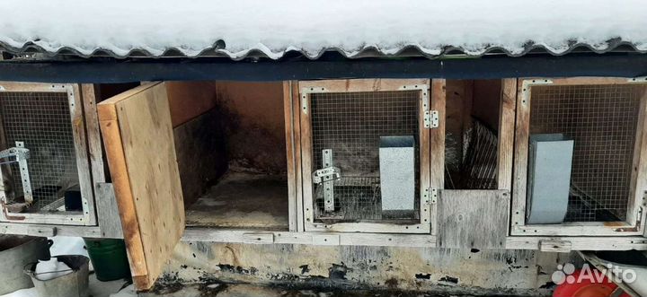 Клетки для кроликов