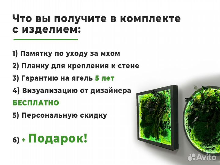 Композиция со мхом и растениями с белой подсветкой