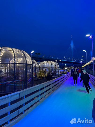 Билеты на каток флагшток 8.01 9:30