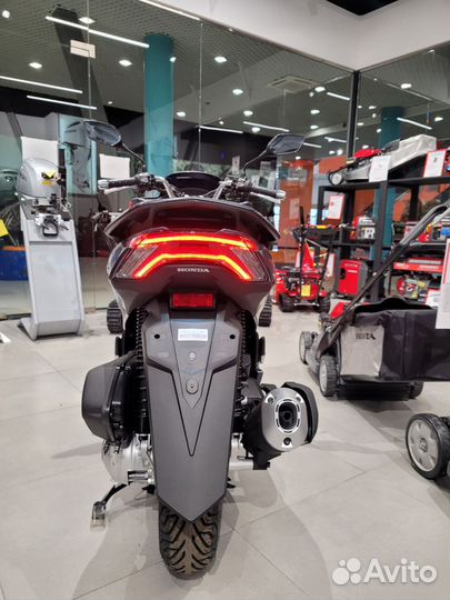 Honda PCX125A WW125A ABS 2023