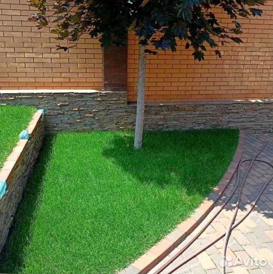 Газон посевной, укладка рулонного газона под ключ