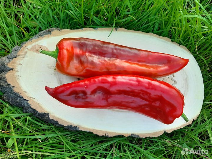 Семена сортовых сладких перцев, ч.2