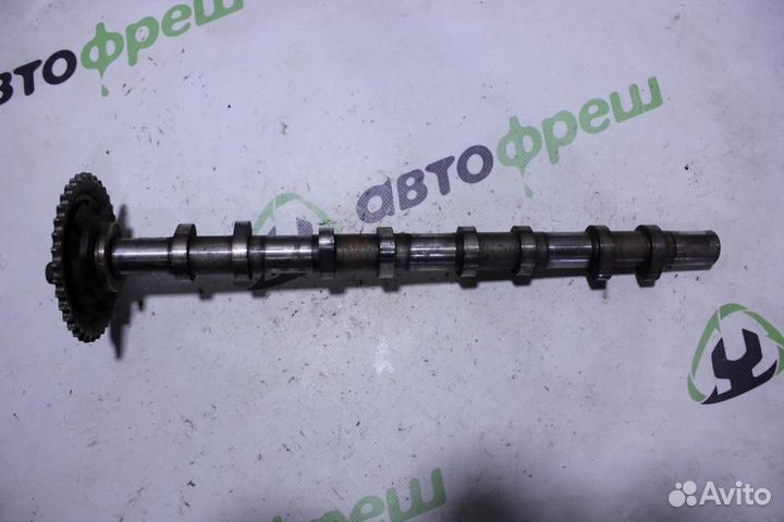 Распредвал выпускной Peugeot Boxer 250