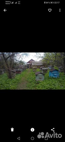 Улей для пчел бу