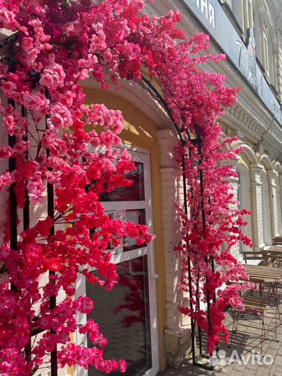 Оыормление витрин