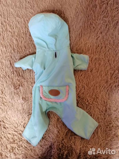 Одежда для собак мелких пород