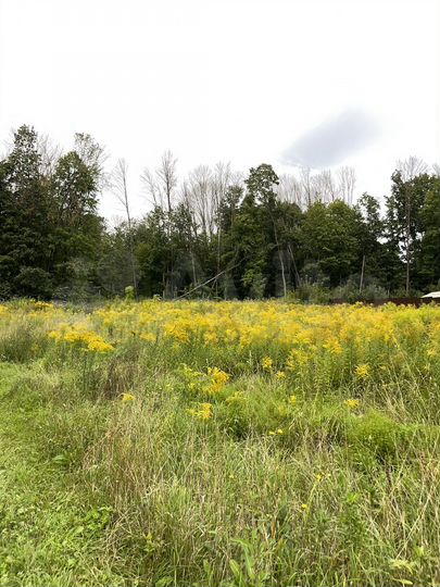 Участок 20 сот. (ИЖС)