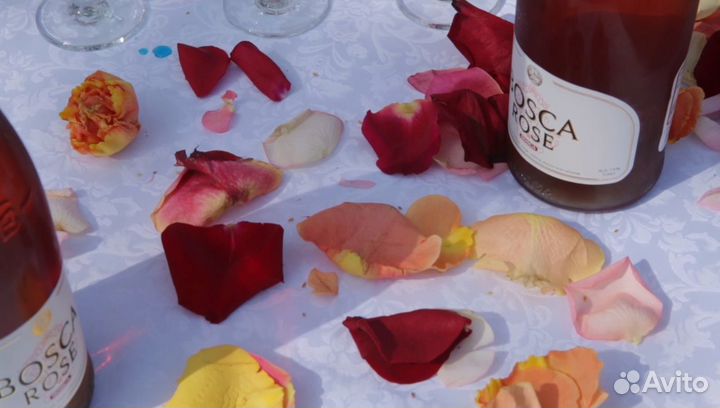 Видеооператор, видеосъемка, видеомонтаж,фотосъемка