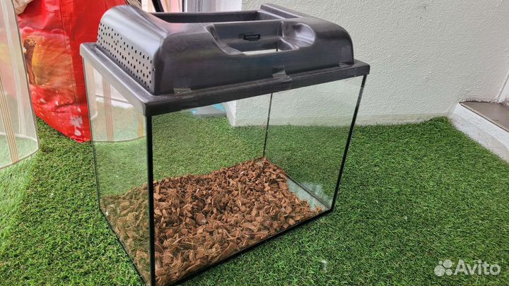 Аквариумные рыбки