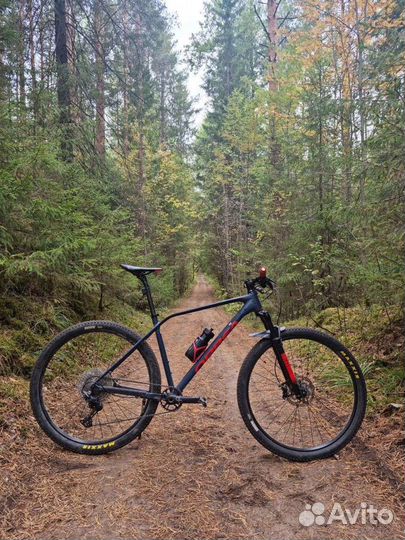 Orbea alma h50