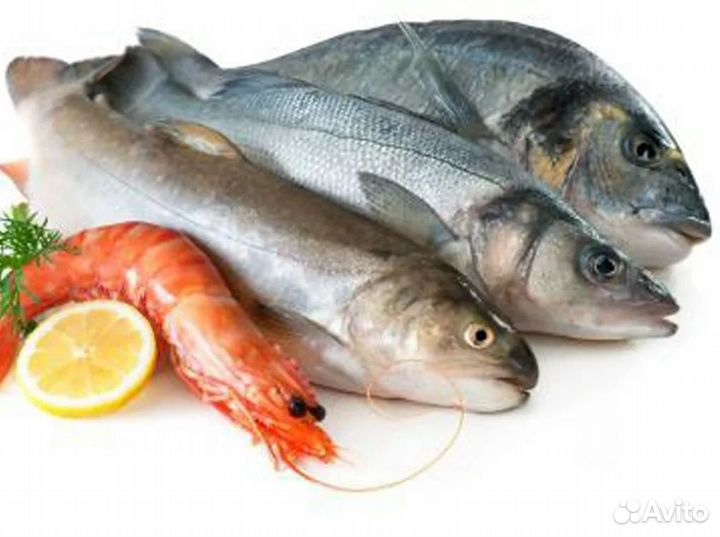 Готовый рыбный бизнес с поставщиками