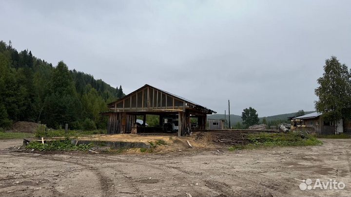 Цех лесопиления и производственная территория