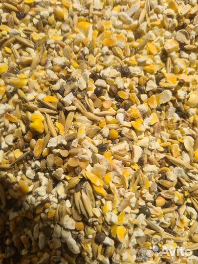 Зерно смесь