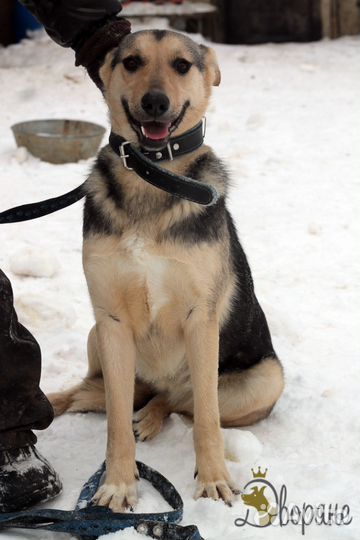 Весёлый, добрый, неунывающий Тоша