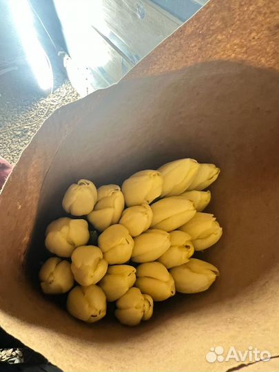 Тюльпаны к 8 марта оптом красноярск