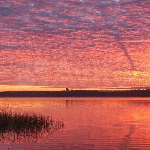 Участок 100 сот. (СНТ, ДНП)