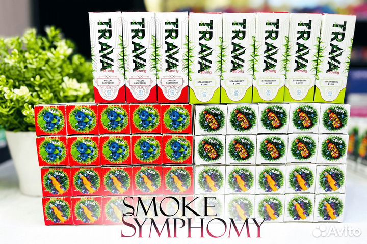 Впереди всех с Smoke Symphony