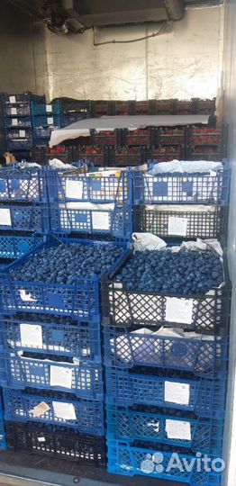 Грузоперевозки Газель рефрижератор