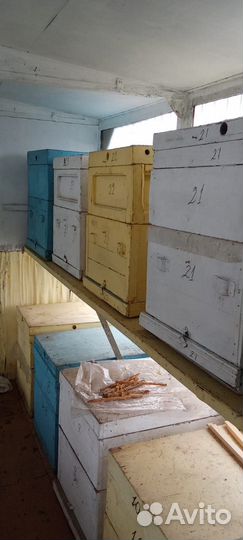 Продаю пчелоприцеп