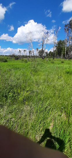 Участок 15 сот. (СНТ, ДНП)