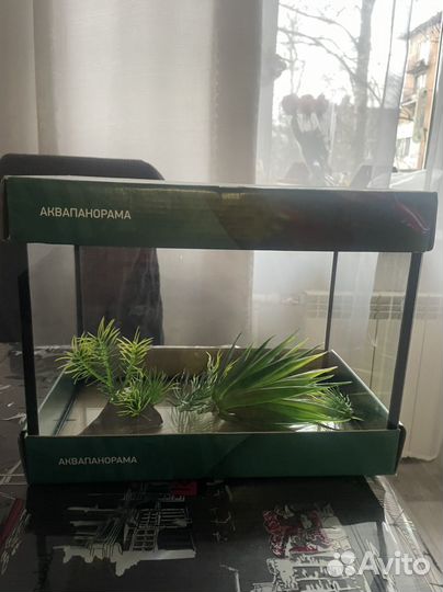 Аквариум