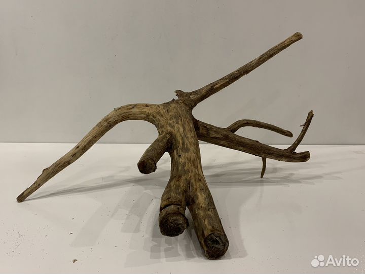 Коряги для аквариума