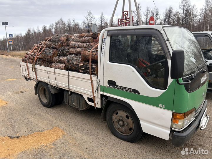 Дрова листвянные сухие