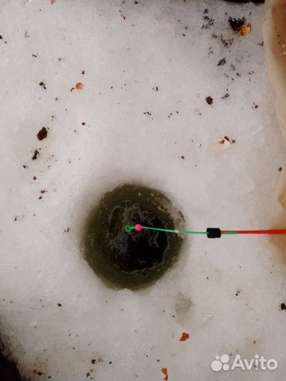 Живец плотва