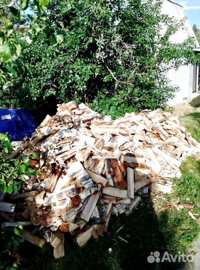 Дрова Береза