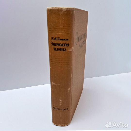 Пэттен Эмбриология человека Учебник Медицина