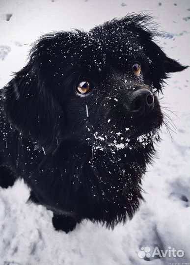 Вязка мальчик красавец