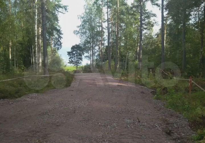 Участок 12 сот. (СНТ, ДНП)