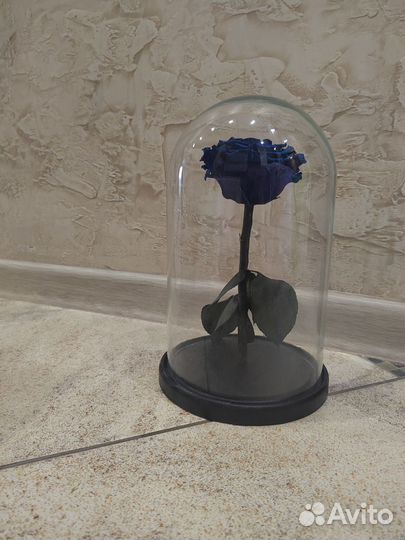 Синяя роза в колбе