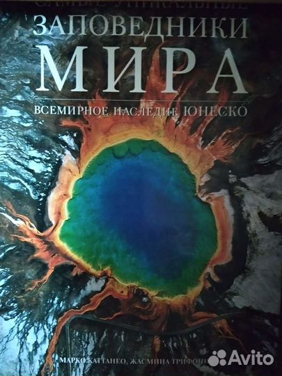 Альбом художник